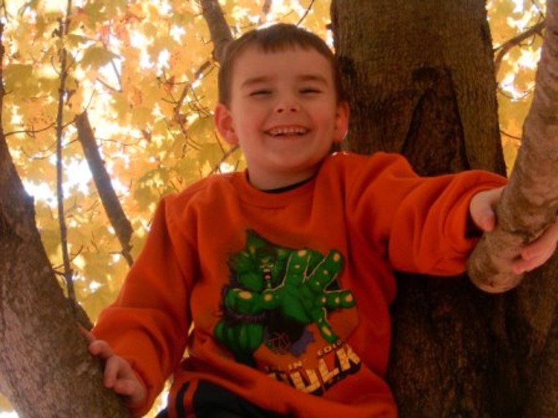 Nicholas in tree.jpg